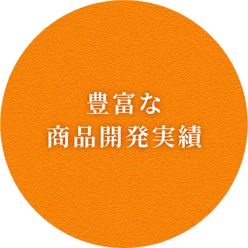 豊富な商品開発実績